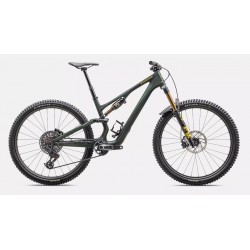 Specialized Stumpjumper 15 Pro